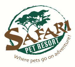 Safari Pet Resort